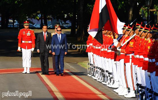 اليوم السابع -9 -2015